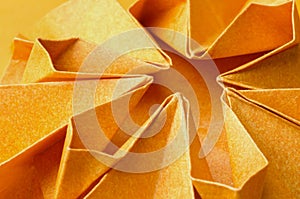 Structures of orange paper flower