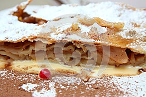 Strudel with powdered sugar and cacao