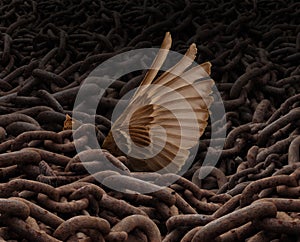 Struggle For Freedom