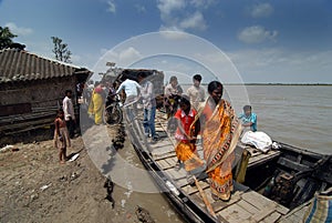 Struggle for Survival