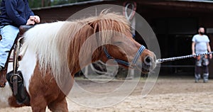 struggling pony with child on its back being forcibly pulled by its lead rope, blurry barn and man in background photo