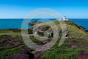 Strumble Head Lighthouse At The Atlantic Coast Of South Wales In Pembrokeshire, United Kingdom