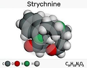 Strychnine, C21H22N2O2,  molecule. It is monoterpenoid indole alkaloid, is from the seeds of the Strychnos nux-vomica tree. Used