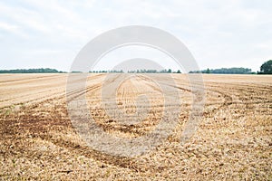 Stubble-field