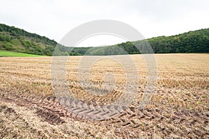 Stubble-field