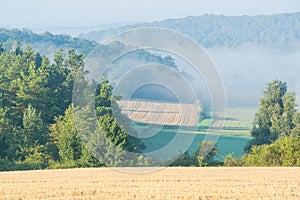 Stubble field