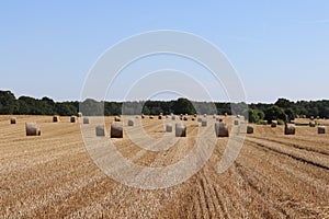 Stubble field with bale of straw