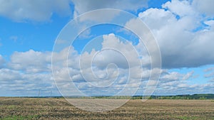 Stubble field. Golden field after harvesting. Field after harvest at day. Timelapse.