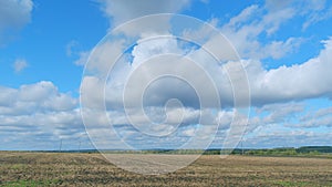 Stubble field. Golden field after harvesting. Field after harvest at day. Timelapse.