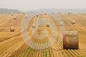 Stubble Field with Hay Bales