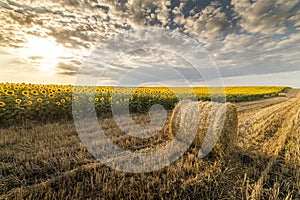 Stubble field and hay bales