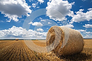 Stubble field and hay bales