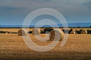 Stubble field and hay bales