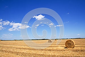 Stubble field and hay bales photo