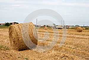 Stubble field and hay bales