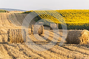 Stubble field and hay bales