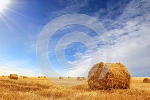 Stubble field and hay bales photo