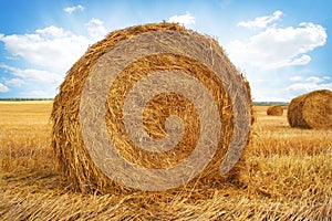 Stubble field and hay bales photo