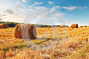 Stubble field with hay bales