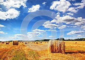 Strniště a balíky sena 