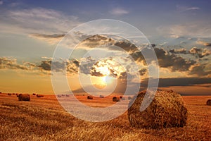 Stubble field and hay bales photo