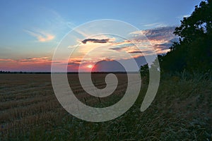 stubble field landscape with dry straw after sunset