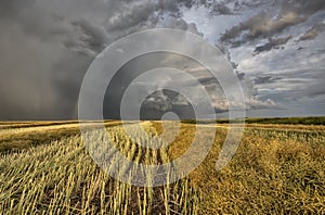 Stubble Field and Prarie Storm
