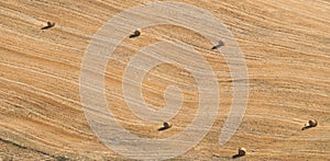 Stubble field with round hay bales.