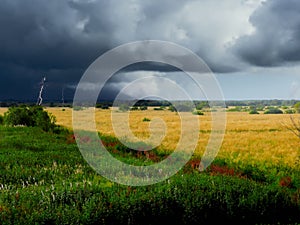 Stubble field. Storm. Autumn.