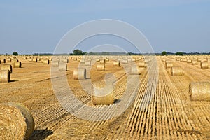 Stubble field, with straw bale.