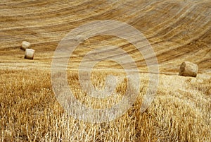 Stubble field and straw bales