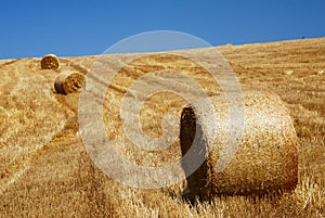 Stubble field and straw bales photo