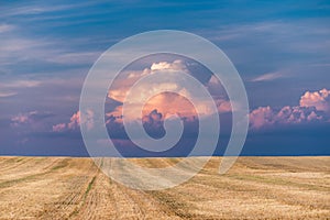 Stubble field after the wheat harvest with stormy blue and purple cloudy skies, Hungary