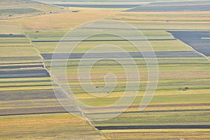 Stubble Fields in Dobrogea photo