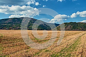 Stubble fields early spring with forested mountains in background