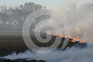 Stubble fire photo