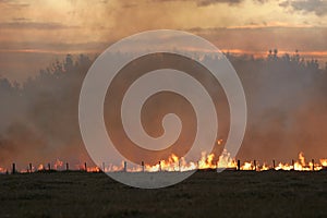 Stubble fire at Dusk