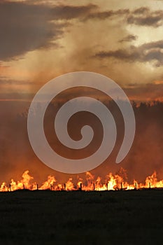 Stubble fire at Dusk photo