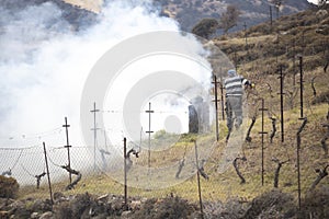 Stubble fire and farmer in the field. The farmer controls the fire among the fumes. Canakkale, Turkey