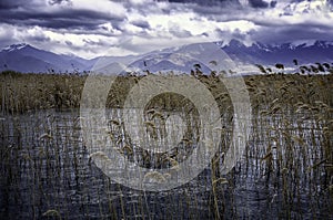 Stubble and lake