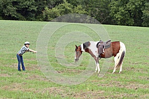 Stubborn horse photo