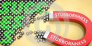Stubbornness attracts success - pictured as word Stubbornness on a magnet to symbolize that Stubbornness can cause or contribute photo
