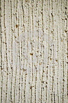 Stucco Texture