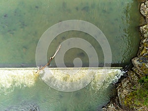 Stucked big pine log in the flowing river aerial drone top down view