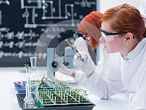 Student analyzing in a chemistry lab photo
