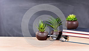 Student desktop with green plants and books with blank blackboard in background