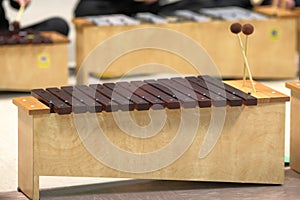 Student Diatonic Xylophone with mallets