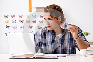 The student entomologist studying new species of butterflies