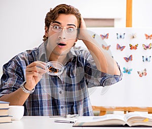 Student entomologist studying new species of butterflies