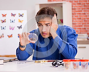 Student entomologist studying new species of butterflies